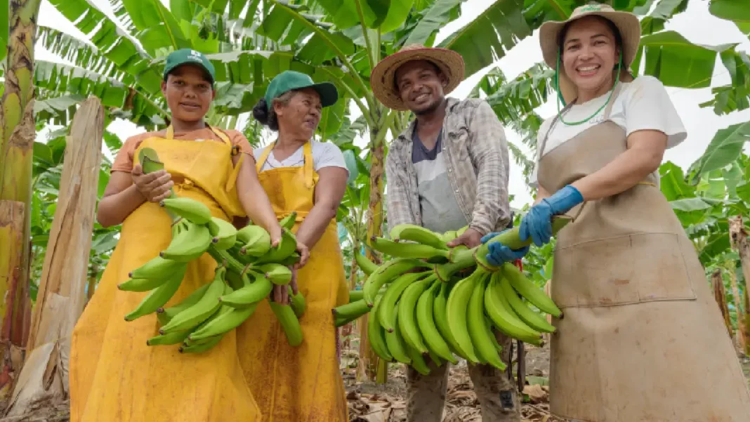 Uniban: el Valor Compartido como motor del desarrollo en Urabá