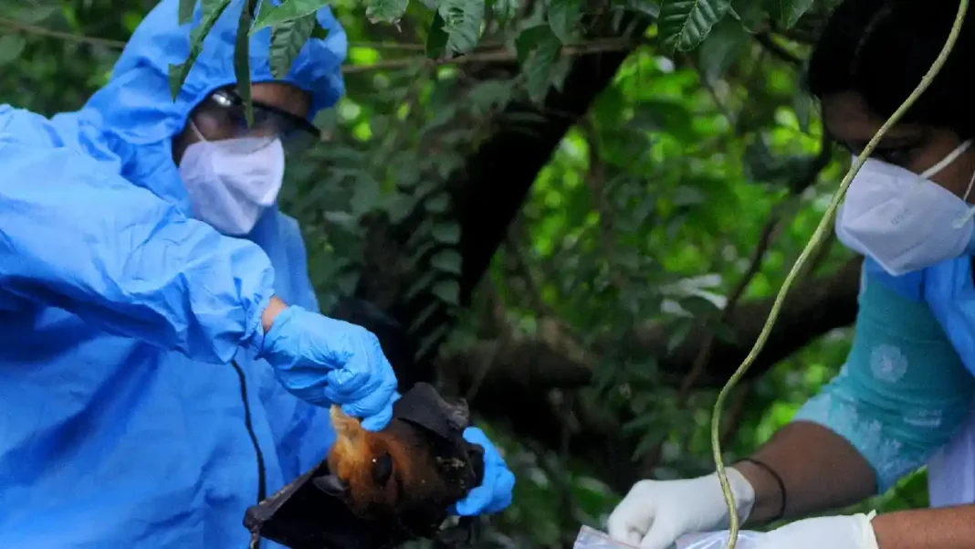 Qué es el Virus Nipah, síntomas y por qué tiene en alerta al mundo