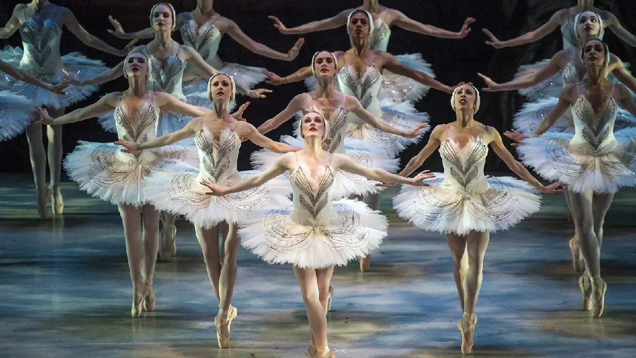 Ballet, libros y museos: planes culturales para el último fin de semana de enero en Colombia 1 Medellín: ballet, literatura y cine de autor