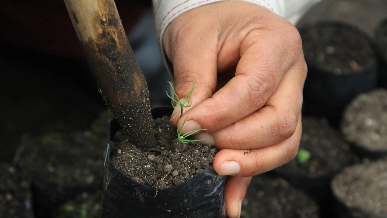 Compromiso con las comunidades y el planeta