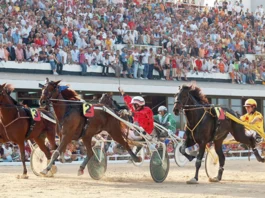 El entrenamiento de un caballo trotón se construye sobre regularidad, resistencia y control, no sobre picos breves de velocidad.