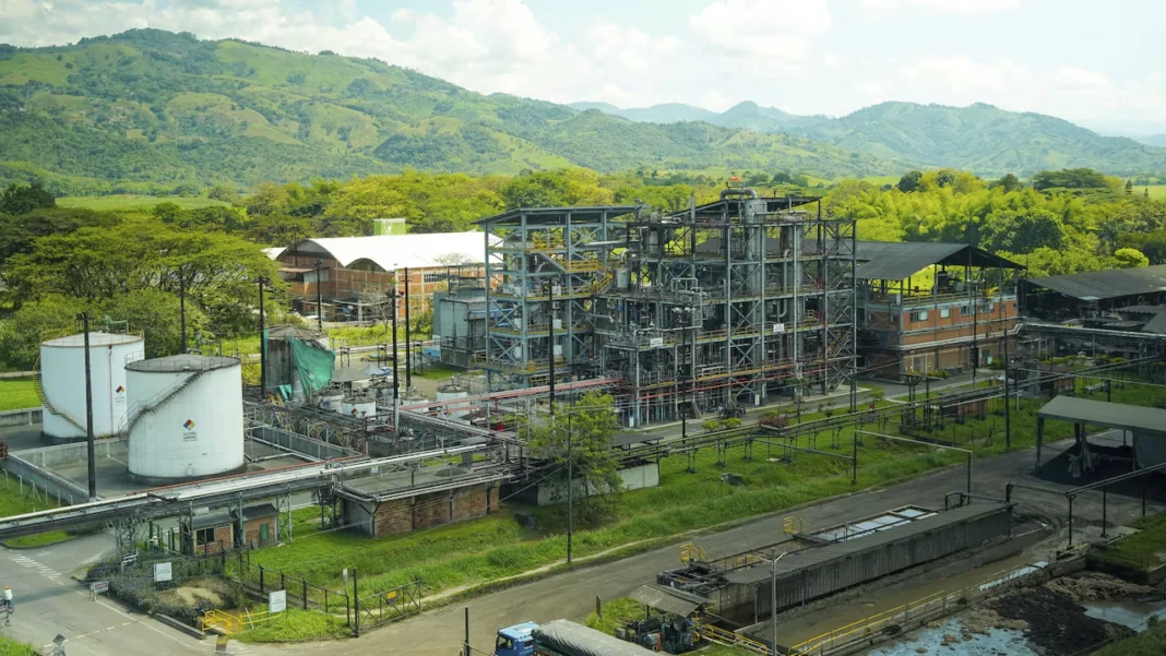 La agroindustria de la caña en Colombia creció 5 % en 2025, aumentó exportaciones 20 % y fortaleció producción de bioetanol y energía renovable.