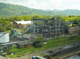 La agroindustria de la caña en Colombia creció 5 % en 2025, aumentó exportaciones 20 % y fortaleció producción de bioetanol y energía renovable.