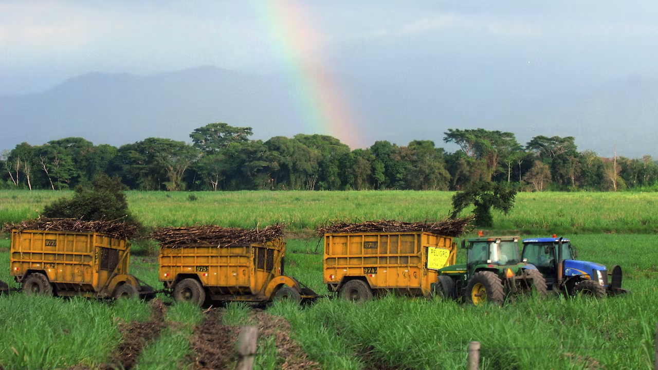 Agroindustria de la caña en Colombia cerró 2025 con más exportaciones y mayor aporte energético