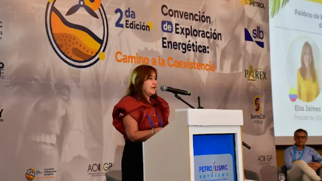 “La transición energética no se decreta”: Elsa Jaimes, VP Exploración Ecopetrol