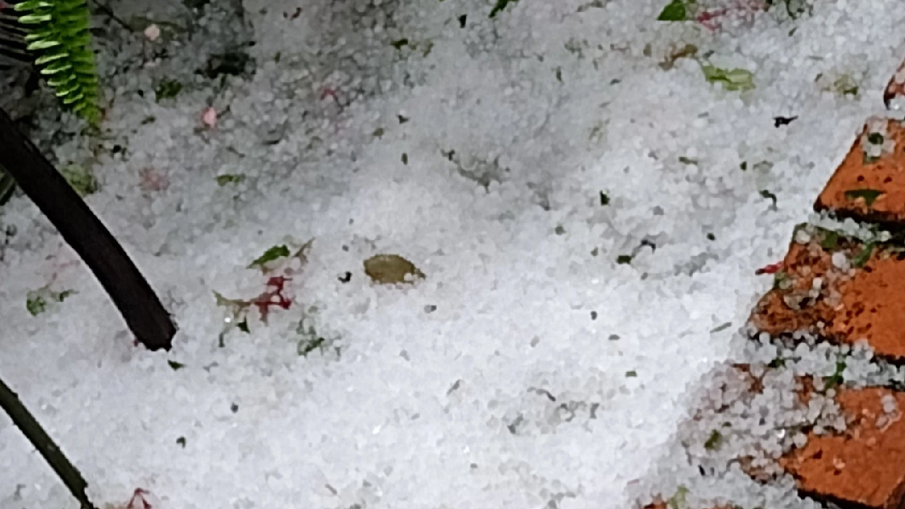 Fotos: impresionante granizada en Bogotá pintó de blanco parques de Cedritos y más