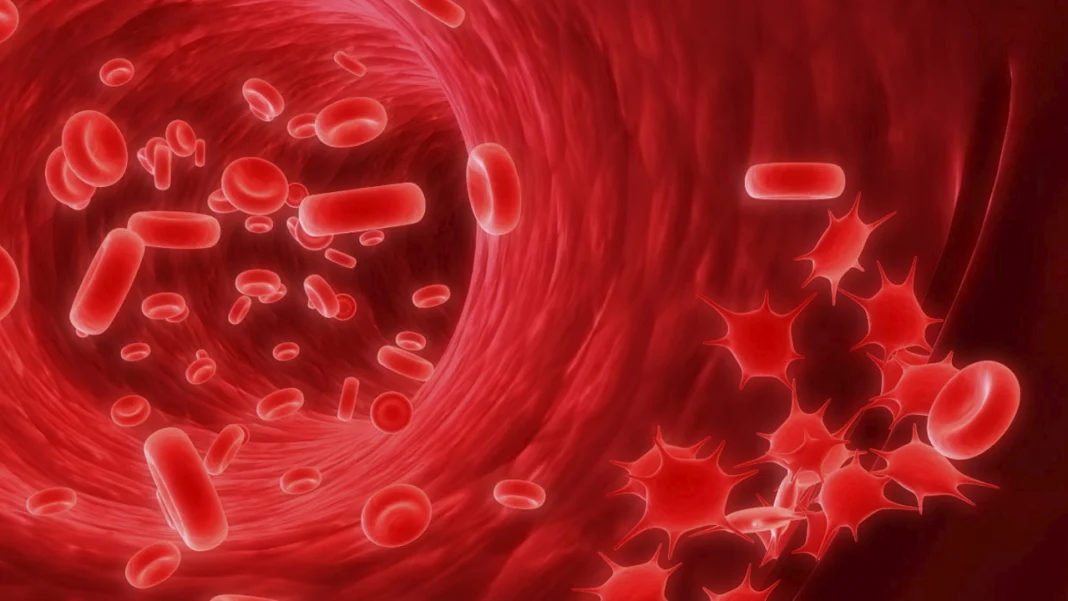 La hemofilia es un trastorno genético que impide una correcta coagulación de la sangre, provoca hemorragias prolongadas y afecta principalmente a hombres desde el nacimiento.