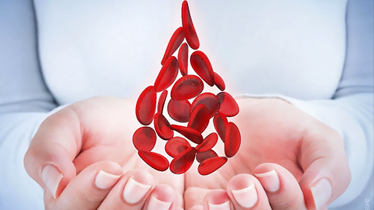 Hemofilia: Qué es, cómo se transmite y cuáles son sus síntomas 1 ¿Qué es la hemofilia y por qué ocurre?