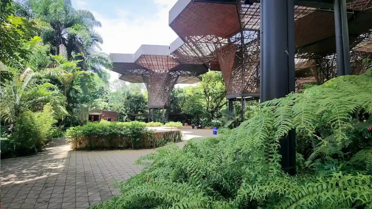 Qué hacer gratis en Medellín este 14 de febrero, San Valentín 2026 1 Qué hacer gratis en Medellín este 14 de febrero, San Valentín 2026