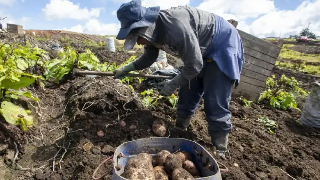 Actividad Economía colombiana crece 1,55 % en enero, según DANE