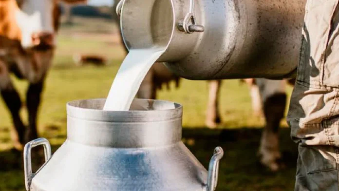 Gobierno propone cooperativas campesinas para enfrentar crisis lechera en Colombia