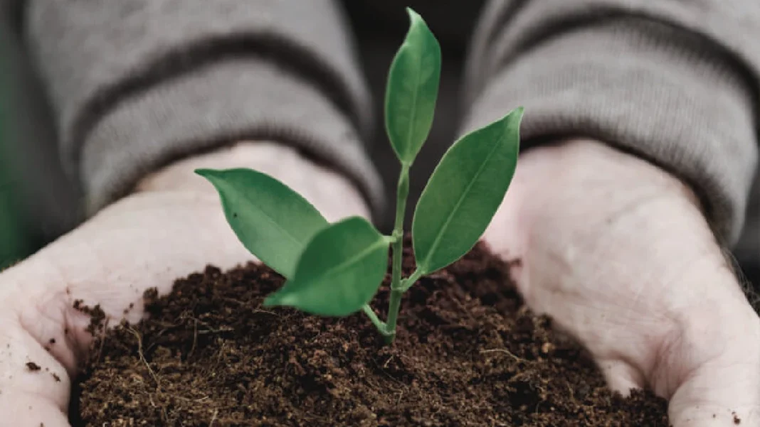 Las naciones que más impactan el equilibrio ecológico del planeta