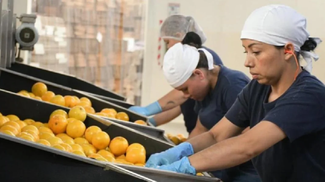 Persisten desigualdades: mujeres ganan y ahorran menos que los hombres para su retiro