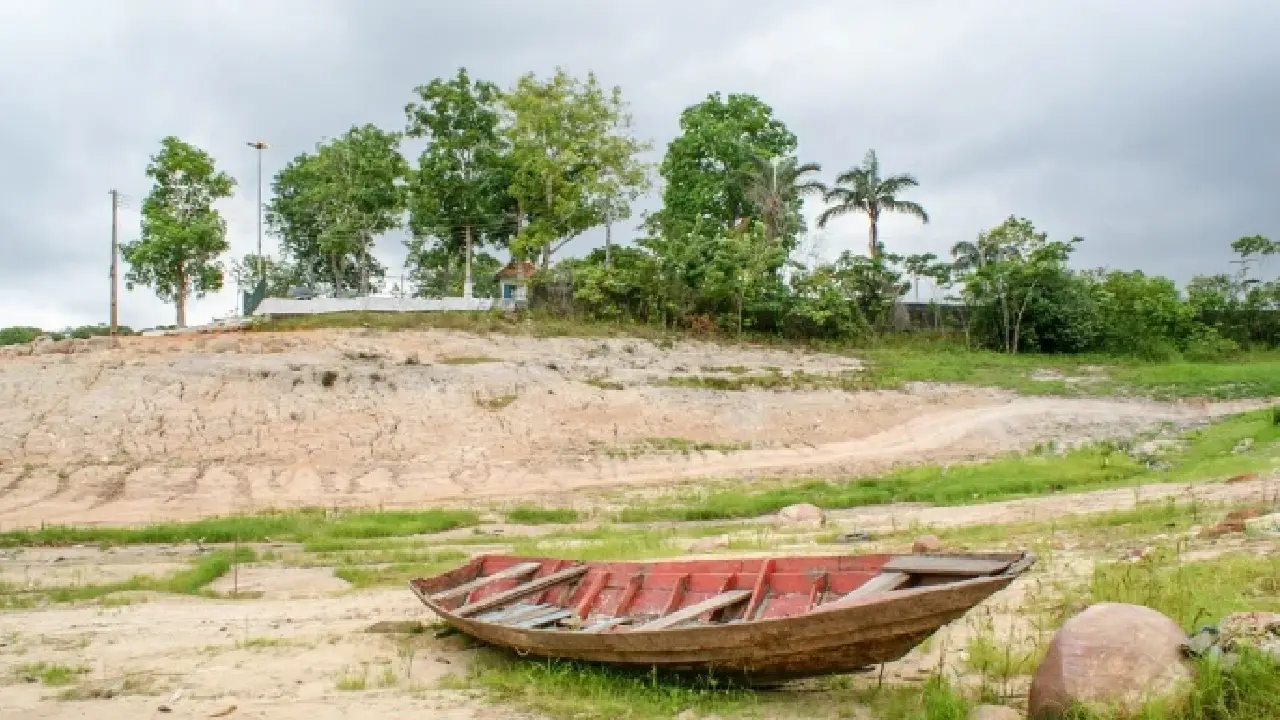 Qué impacto podría tener el fenómeno de El Niño en las lluvias del país