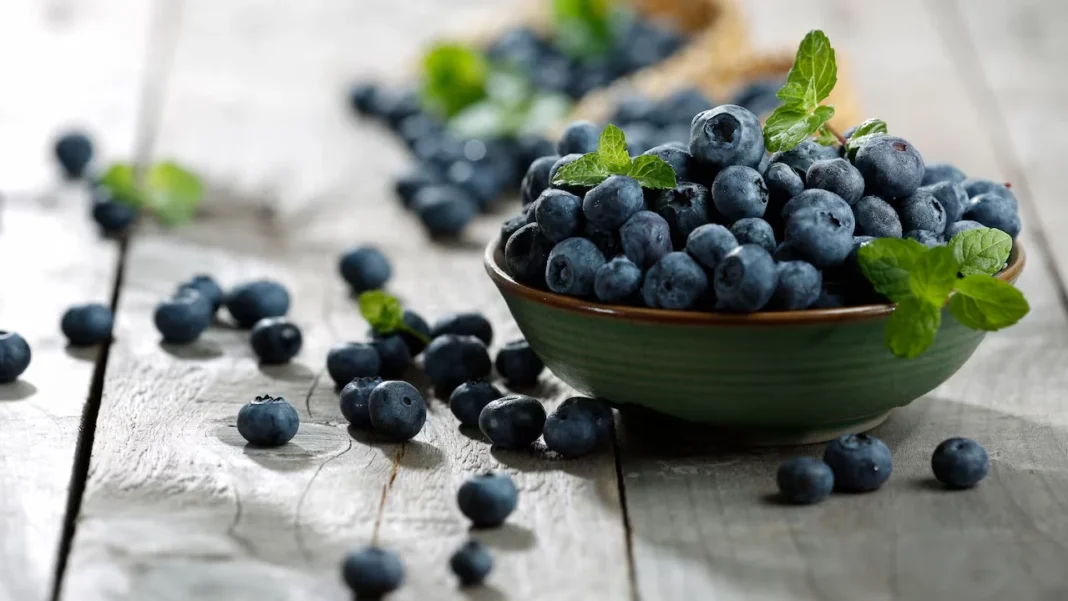 Esta fue la bacteria que hizo retirar 25 mil kilos de arándanos de la venta al público