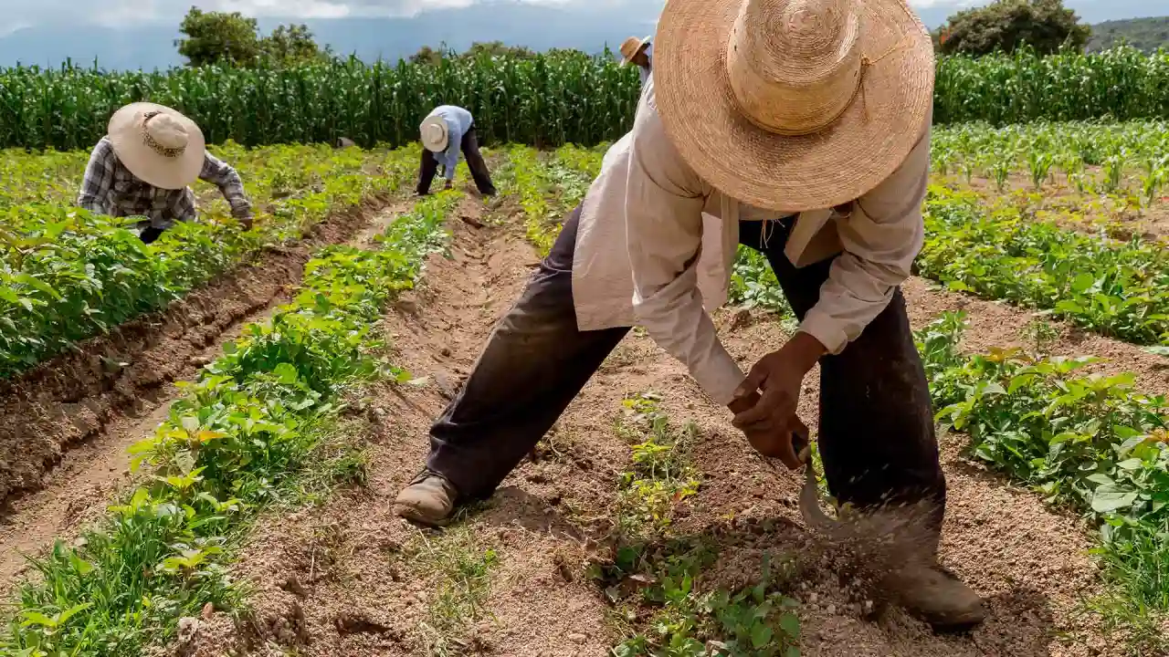 ¿Qué cambia? Petro sanciona en Córdoba la Ley de Jurisdicción Agraria