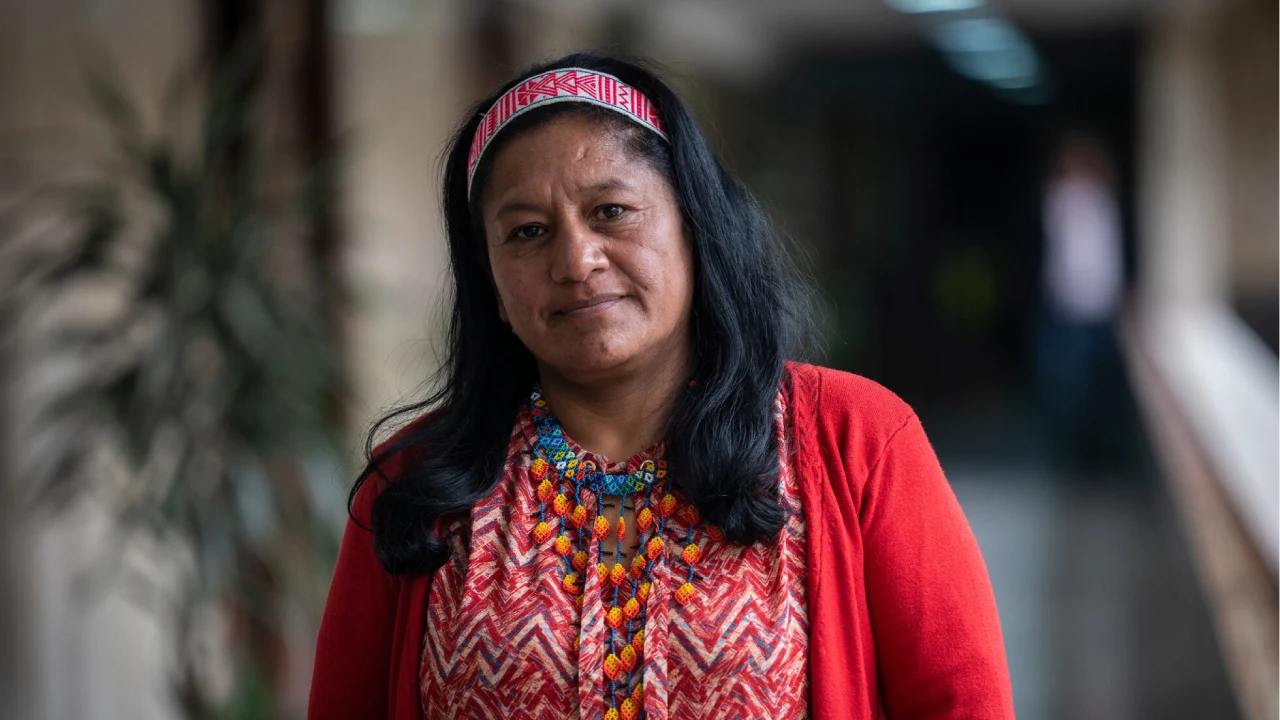 ¿Quiénes son y qué hacen las ya confirmadas formulas vicepresidenciales?