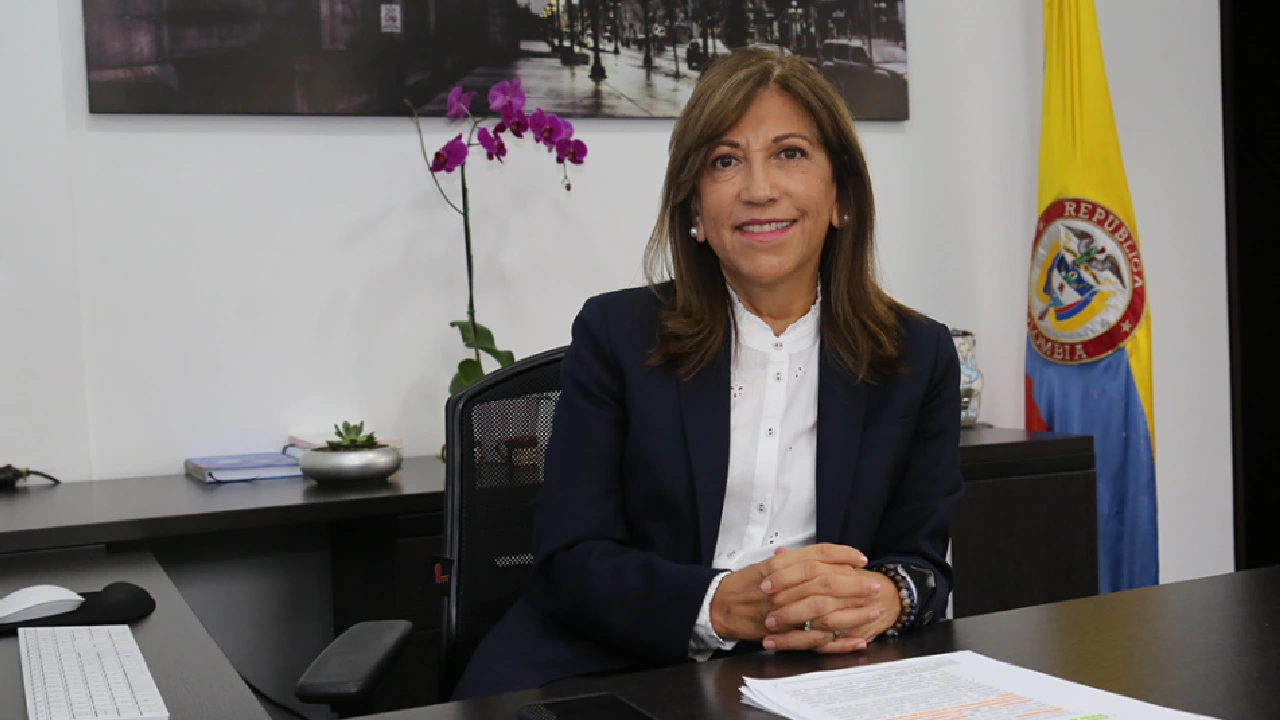 ¿Quiénes son y qué hacen las ya confirmadas formulas vicepresidenciales? 