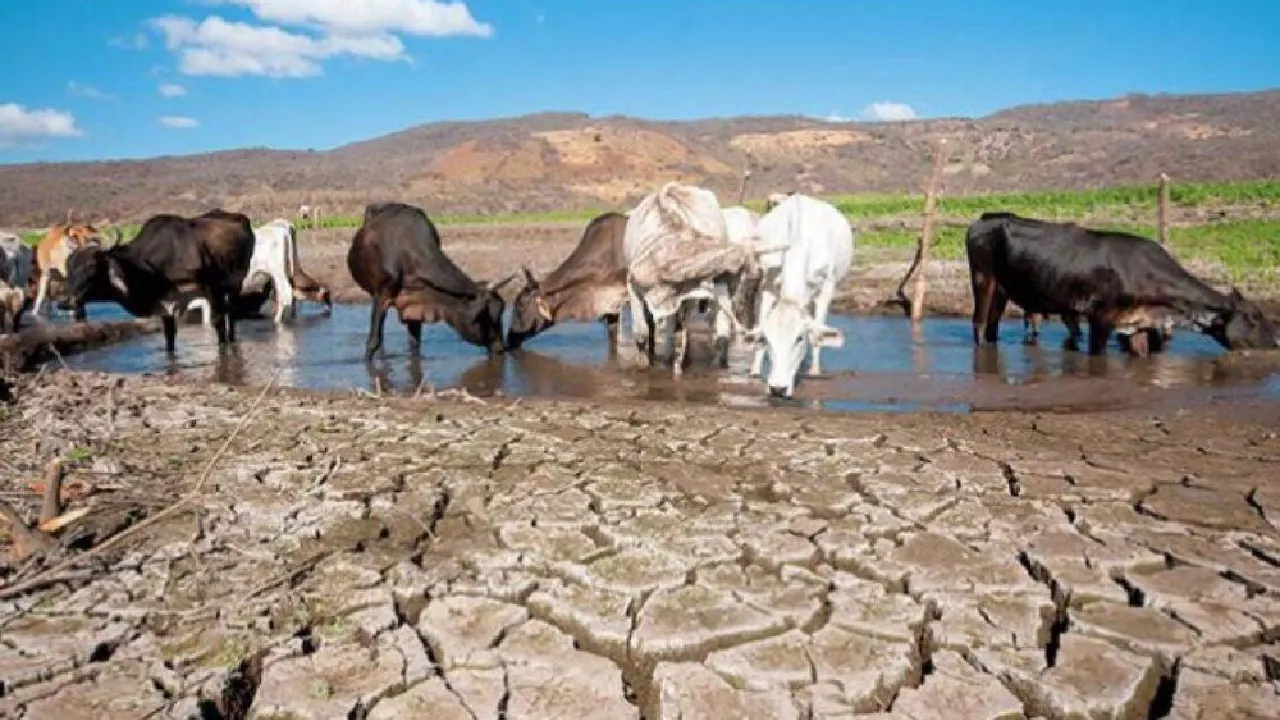 El Niño en Colombia 2026: pronóstico, probabilidad y posibles impactos