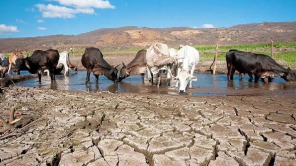 Gobierno alertan sobre un posible inicio anticipado del fenómeno de El Niño en el país