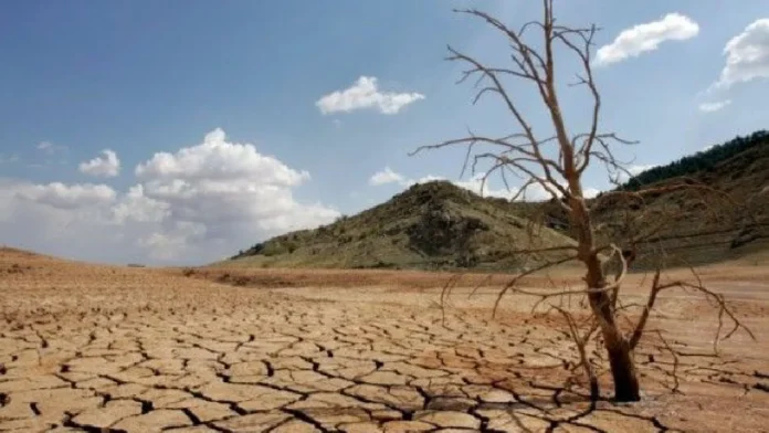 Fenómeno de El Niño llegaría con temperaturas récord, según nueva proyección