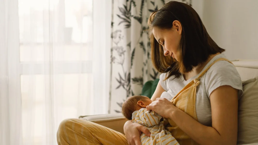 ¿Lactante y con contrato de prestación de servicios? Conozca el nuevo fallo de la Corte sobre estabilidad laboral