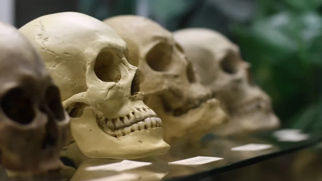 ¿Cuánto cuesta visitar los museos más raros del mundo?