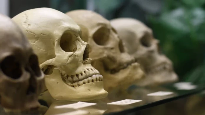 ¿Cuánto cuesta visitar los museos más raros del mundo?