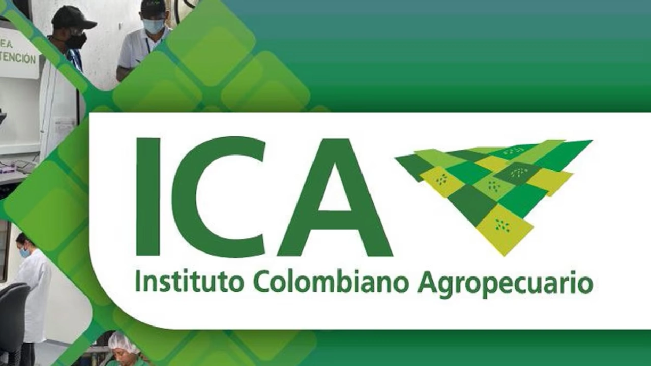 ¿Qué pasará con sus guías de movilización tras la disputa ICA-Fedegan?