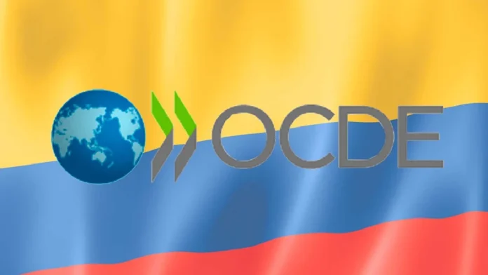 OCDE alerta sobre situación actual de los profesores: esto dice el informe