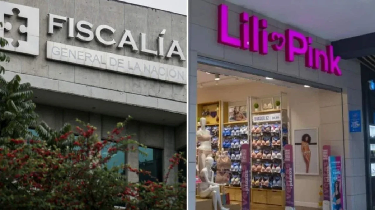 puntos clave para entender el proceso de extinción de dominio a Lili Pink