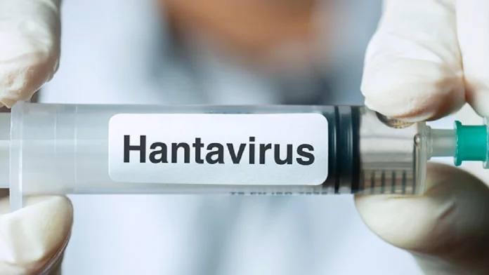Brote de Hantavirus en Colombia: qué es, contagio, riesgos y dónde están los primeros casos