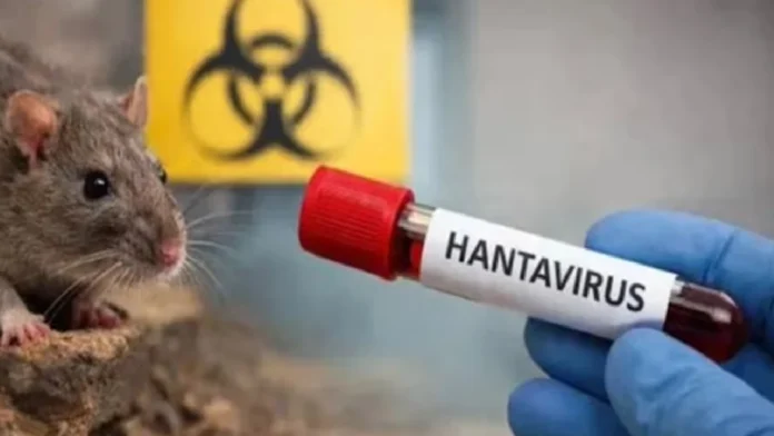 Bogotá activa protocolos de vigilancia sanitaria por brote de hantavirus en crucero internacional