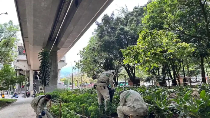 Medellín estrena sistema de riego aéreo para proteger sus jardines y optimizar el agua