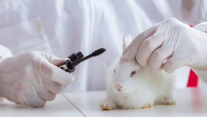 Colombia le dice adiós a las pruebas en animales en cosméticos: así cambia todo desde hoy