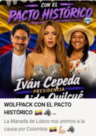 Foto de imagen falsa en donde Shakira apoya a Cepeda - Redes sociales