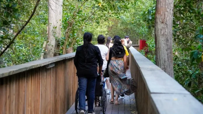 Barranquilla destaca entre las ciudades con mejor accesibilidad turística del país