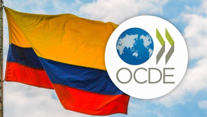 Colombia entra al 'Top 5' de los países con más desempleo en la Ocde Colombia entra al 'Top 5' de los países con más desempleo en la Ocde