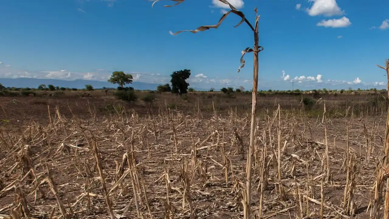 Alerta roja por la sequía y embalses en niveles críticos ante la llegada prematura de El Niño