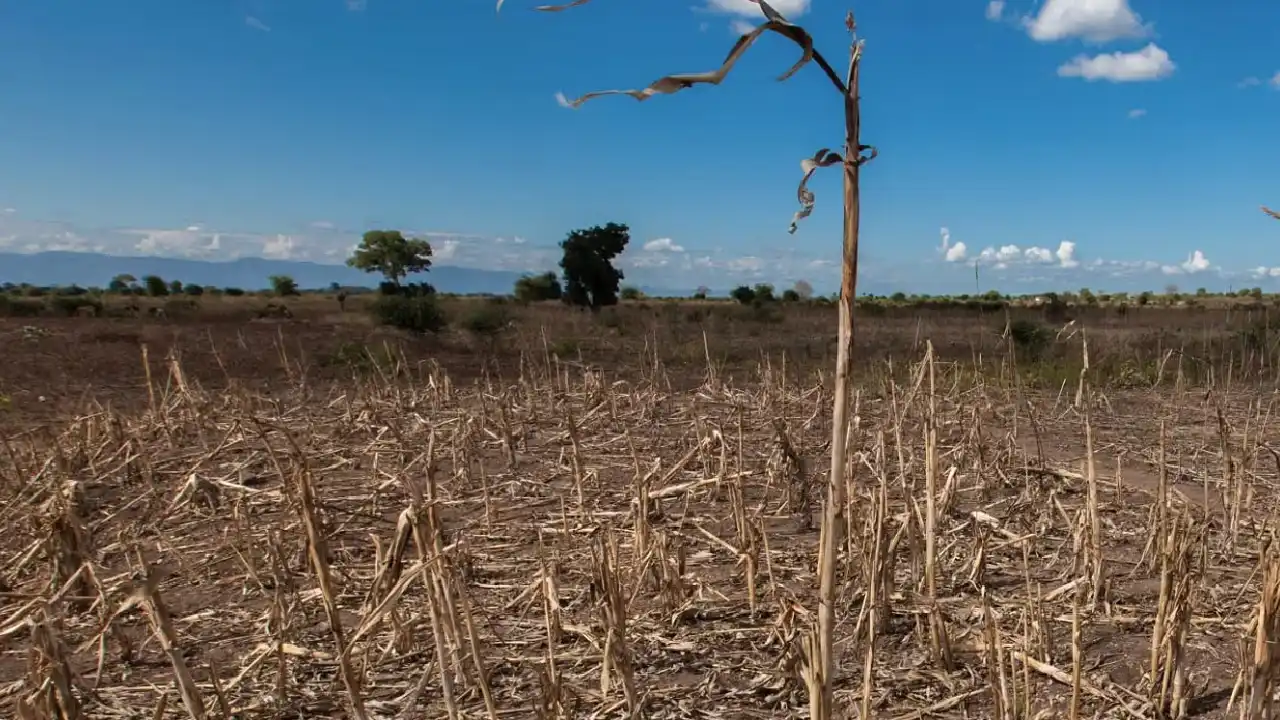 Fenómeno de El Niño en Colombia: ¿Subirá la factura de la luz?