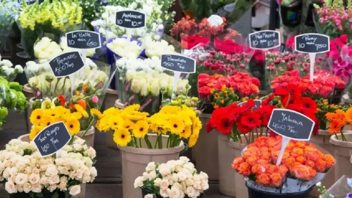 Gobierno de Abelardo de La Espriella diseña estrategia para respaldar al sector floricultor