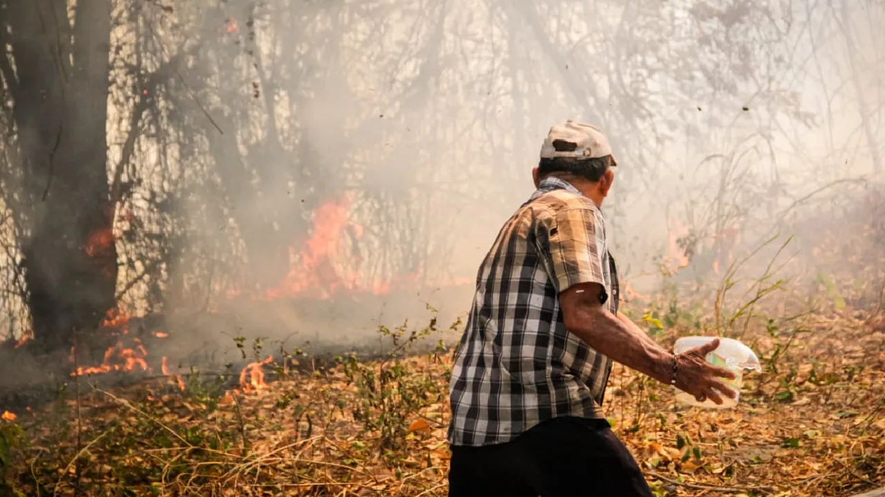 Emergencia ambiental en Tolima: 18 municipios afectados por incendios forestales