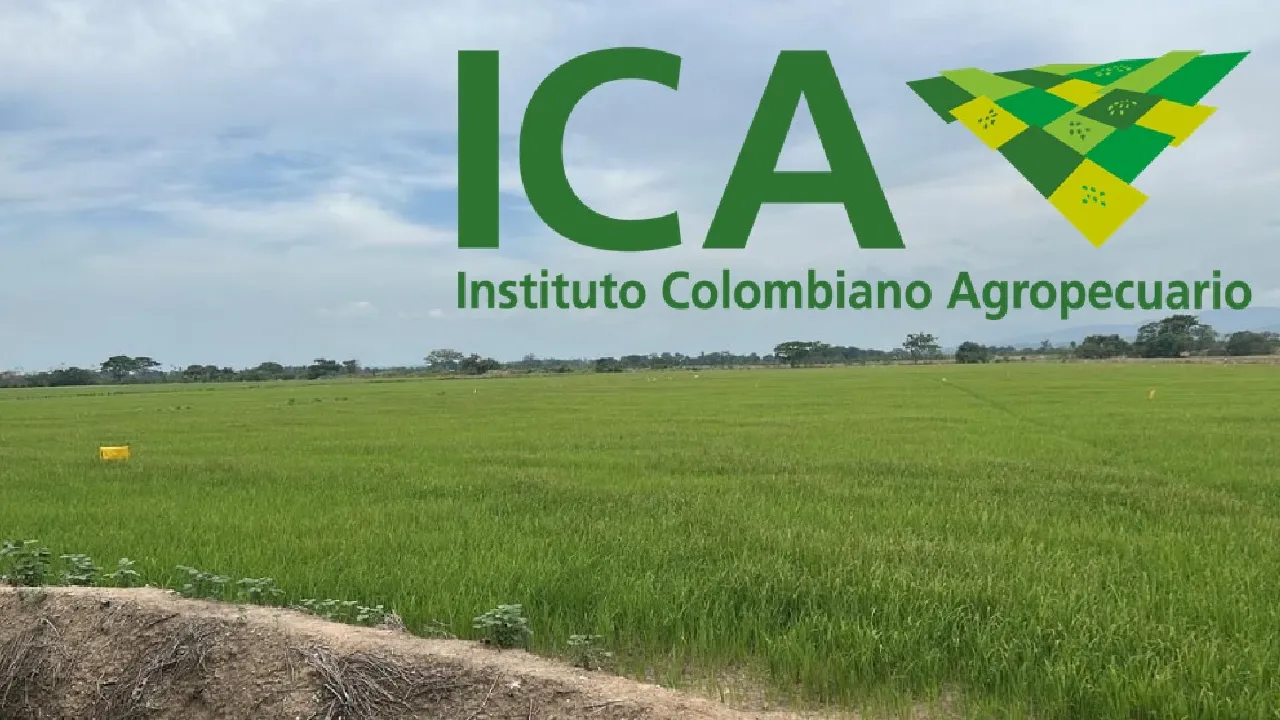 De la Agencia de Renovación del Territorio a la gerencia del ICA: el salto de Carlos Eduardo Campo Cuello