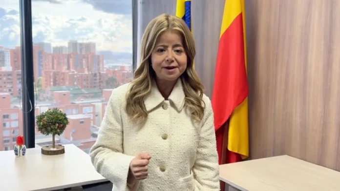 MinTransporte suspende los CALE para evitar alza de hasta $2,2 millones en licencias de conducción