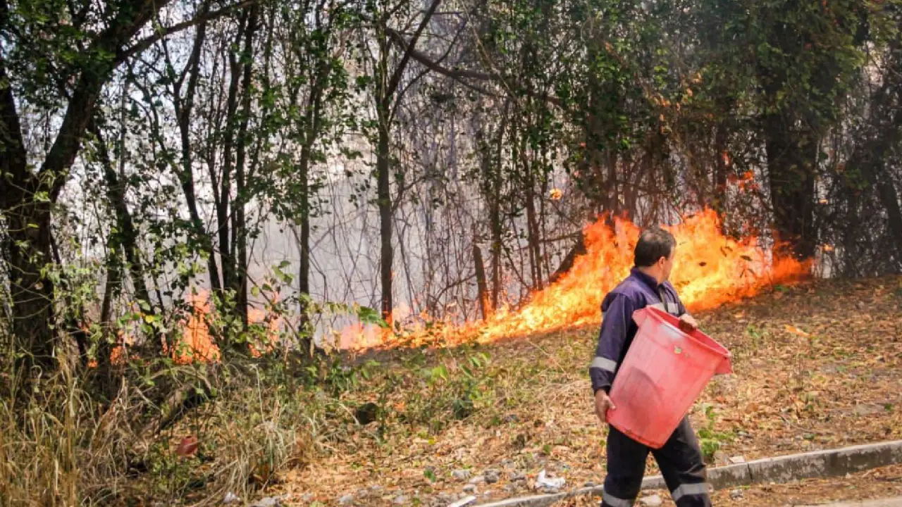 Colombia enfrenta temperaturas extremas por El Niño: crece la alerta por incendios en varias regiones