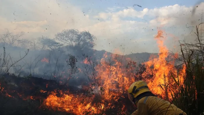 Colombia enfrenta temperaturas extremas por El Niño: crece la alerta por incendios en varias regiones