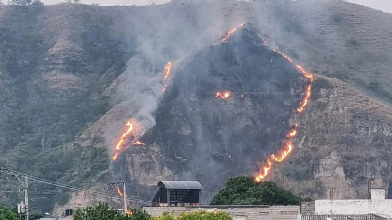 Más de 28.000 productores resultaron afectados por incendios en Tolima