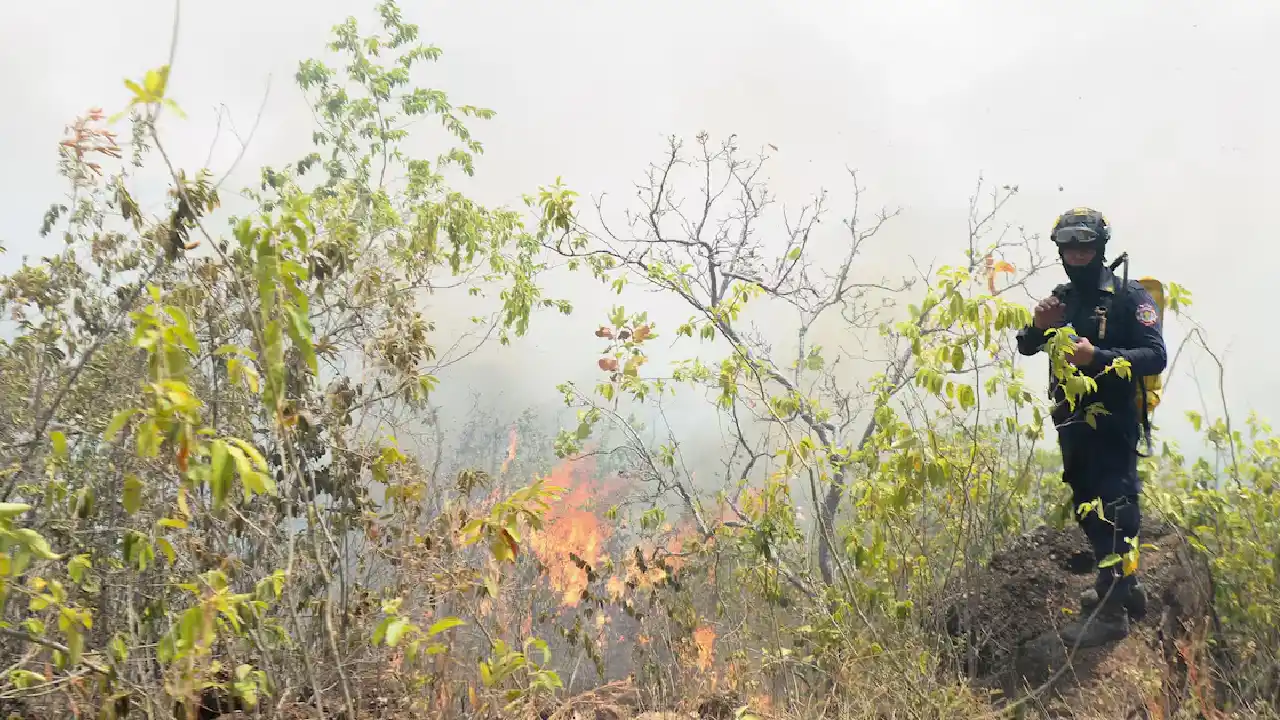 Gobierno reporta 85% de avance en la mitigación de incendios forestales en el departamento del Tolima 1 Ministro del Interior confirma que 46 incendios forestales ya han sido completamente liquidados en Tolima
