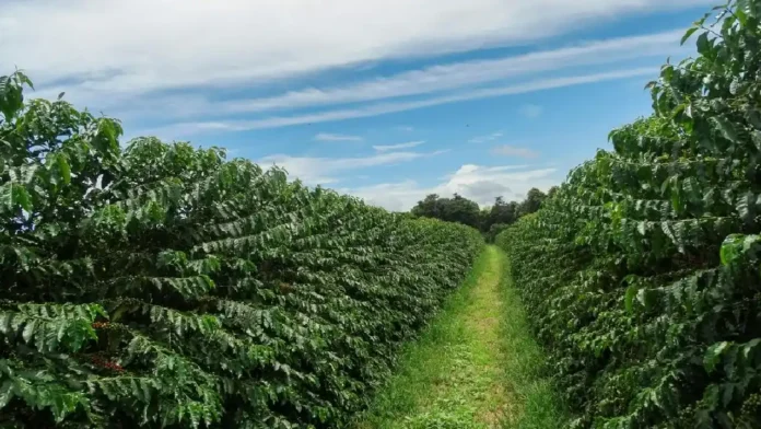 ¿Qué pasará con las Appa? Comienza el proceso para derogar esta figura de la reforma agraria