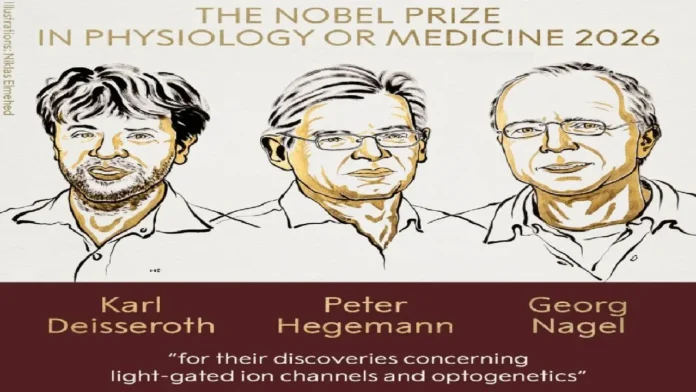 ¿Quiénes ganaron el Nobel de Medicina 2026 y qué es la optogenética?